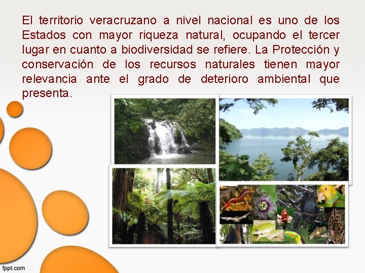 El territorio veracruzano a nivel nacional es uno de los Estados con mayor riqueza