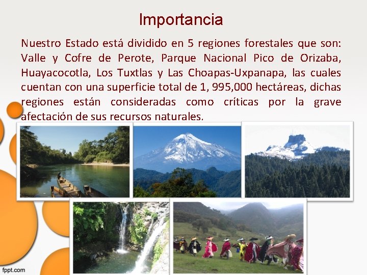 Importancia Nuestro Estado está dividido en 5 regiones forestales que son: Valle y Cofre