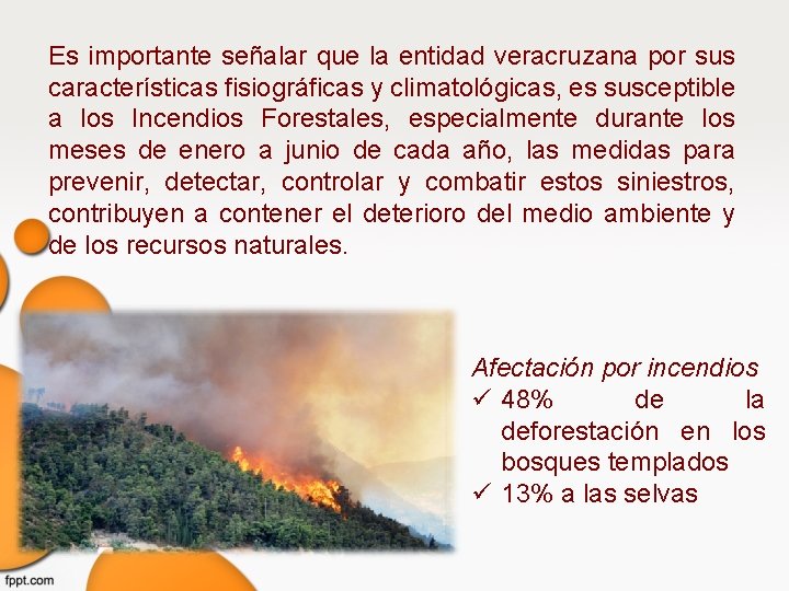 Es importante señalar que la entidad veracruzana por sus características fisiográficas y climatológicas, es