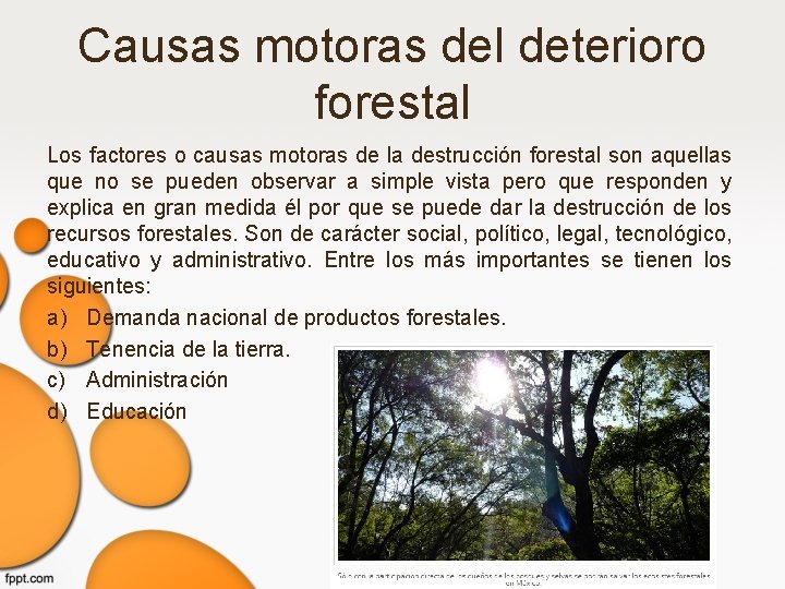 Causas motoras del deterioro forestal Los factores o causas motoras de la destrucción forestal