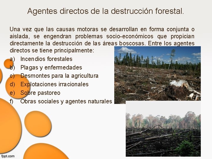 Agentes directos de la destrucción forestal. Una vez que las causas motoras se desarrollan