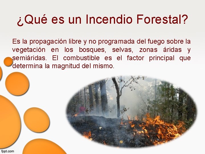 ¿Qué es un Incendio Forestal? Es la propagación libre y no programada del fuego