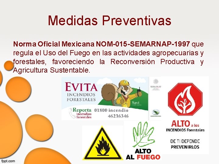 Medidas Preventivas Norma Oficial Mexicana NOM-015 -SEMARNAP-1997 que regula el Uso del Fuego en