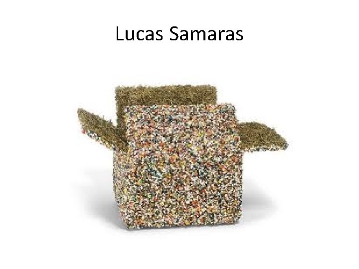 Lucas Samaras 