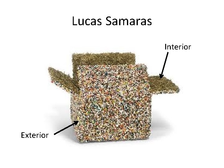 Lucas Samaras Interior Exterior 