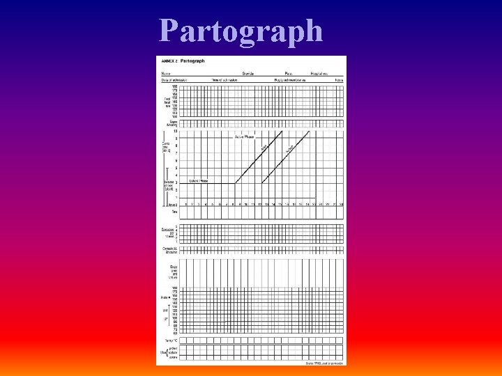 Partograph 