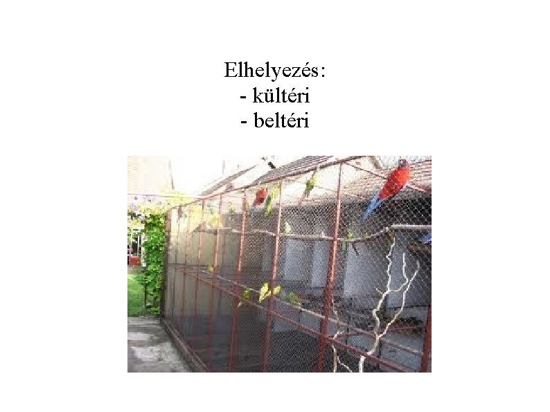 Elhelyezés: - kültéri - beltéri 