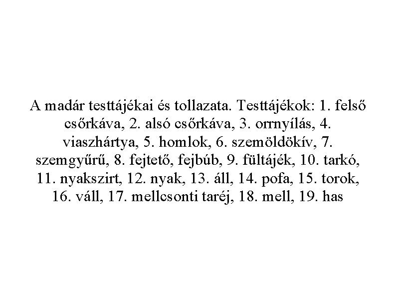 A madár testtájékai és tollazata. Testtájékok: 1. felső csőrkáva, 2. alsó csőrkáva, 3. orrnyílás,