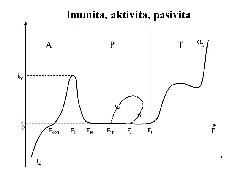 Imunita, aktivita, pasivita 21 