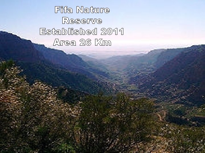 Fifa Nature Reserve Established 2011 Area 26 Km 