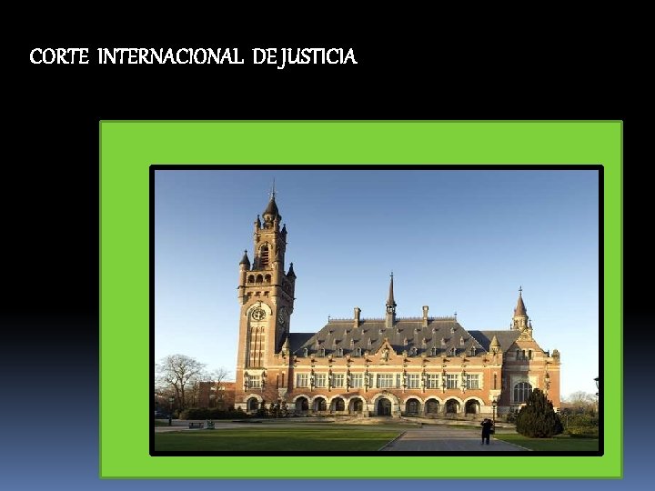 CORTE INTERNACIONAL DE JUSTICIA 