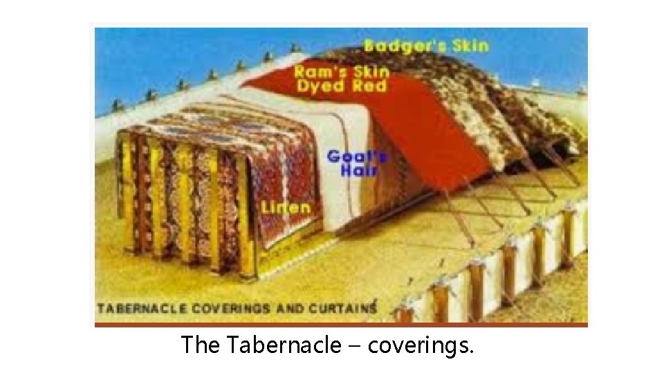 The Tabernacle – coverings. The Tabernacle – coverings.