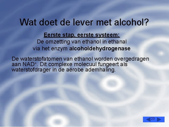 Wat doet de lever met alcohol? Eerste stap, eerste systeem: De omzetting van ethanol