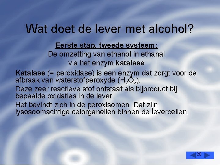 Wat doet de lever met alcohol? Eerste stap, tweede systeem: De omzetting van ethanol