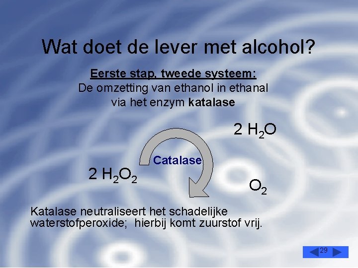 Wat doet de lever met alcohol? Eerste stap, tweede systeem: De omzetting van ethanol
