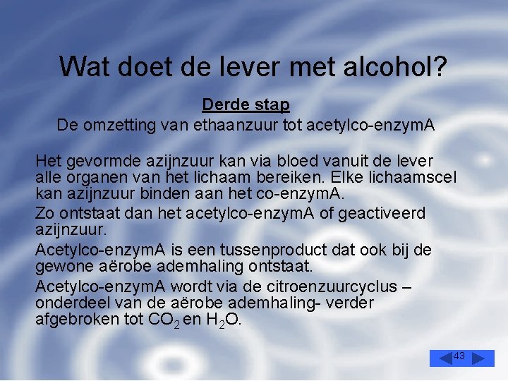 Wat doet de lever met alcohol? Derde stap De omzetting van ethaanzuur tot acetylco-enzym.