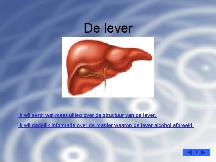 De lever Ik wil eerst wat meer uitleg over de structuur van de lever.