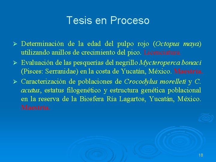 Tesis en Proceso Determinación de la edad del pulpo rojo (Octopus maya) utilizando anillos