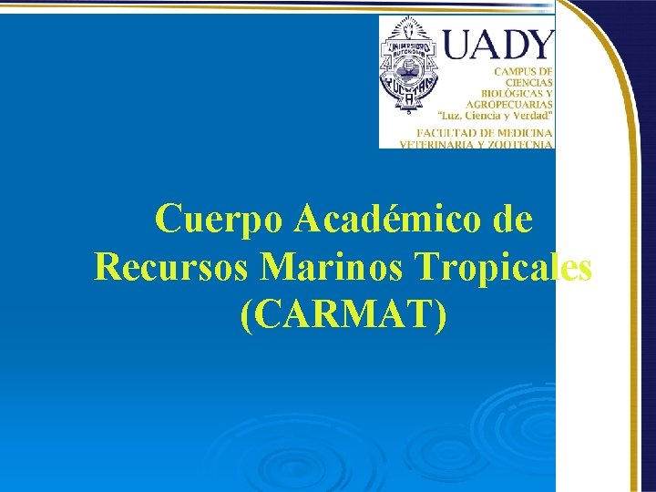 Cuerpo Académico de Recursos Marinos Tropicales (CARMAT) 2 