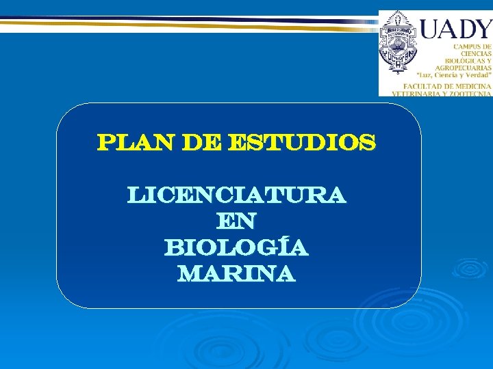 Plan de estudios LICENCIATURA EN BIOLOGÍA MARINA 