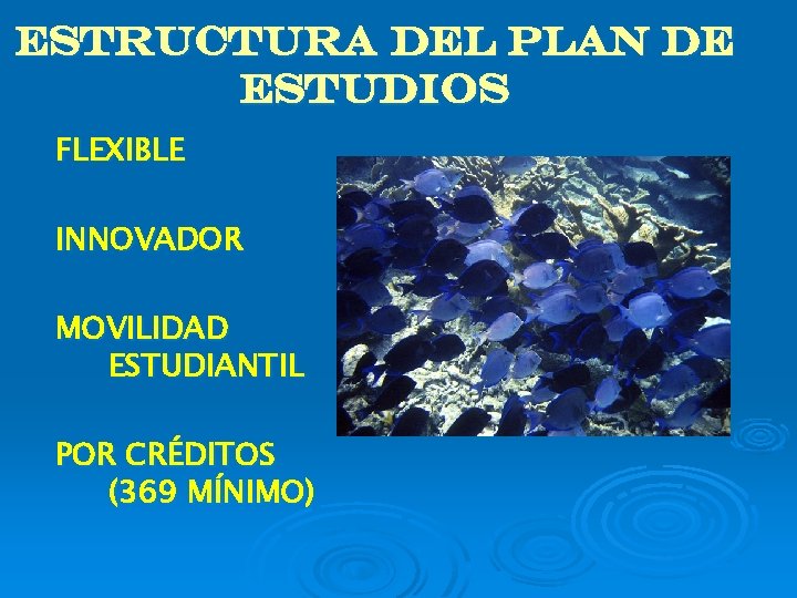 ESTRUCTURA DEL PLAN DE ESTUDIOS FLEXIBLE INNOVADOR MOVILIDAD ESTUDIANTIL POR CRÉDITOS (369 MÍNIMO) 