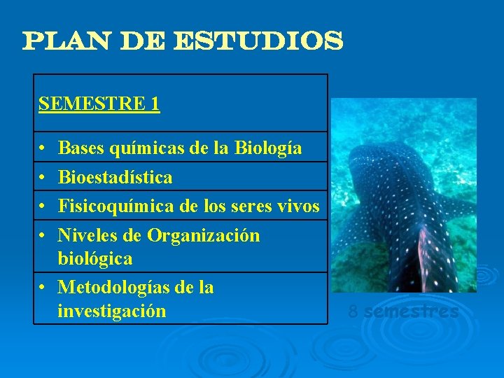 PLAN DE ESTUDIOS SEMESTRE 1 • • Bases químicas de la Biología Bioestadística Fisicoquímica