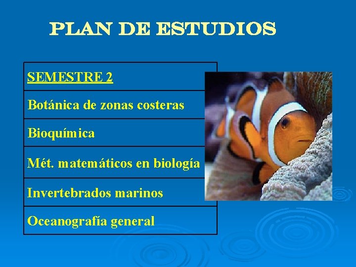 PLAN DE ESTUDIOS SEMESTRE 2 Botánica de zonas costeras Bioquímica Mét. matemáticos en biología