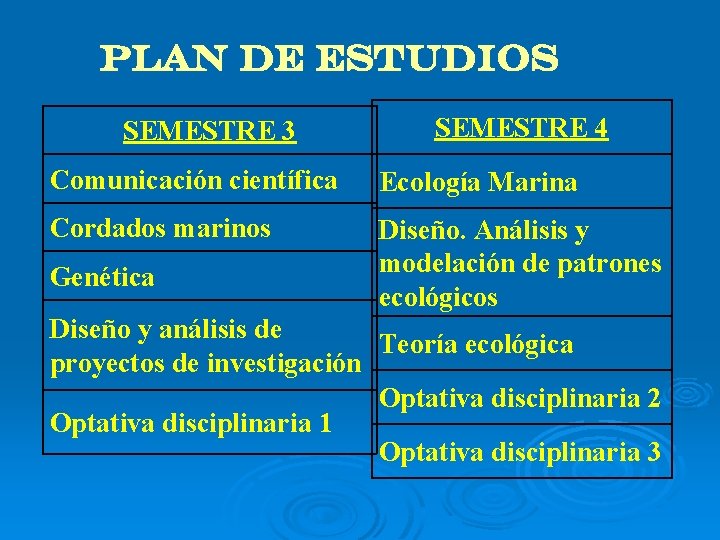 PLAN DE ESTUDIOS SEMESTRE 3 SEMESTRE 4 Comunicación científica Ecología Marina Cordados marinos Diseño.