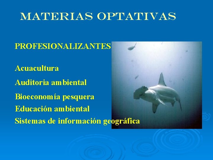 MATERIAS OPTATIVAS PROFESIONALIZANTES Acuacultura Auditoria ambiental Bioeconomía pesquera Educación ambiental Sistemas de información geográfica