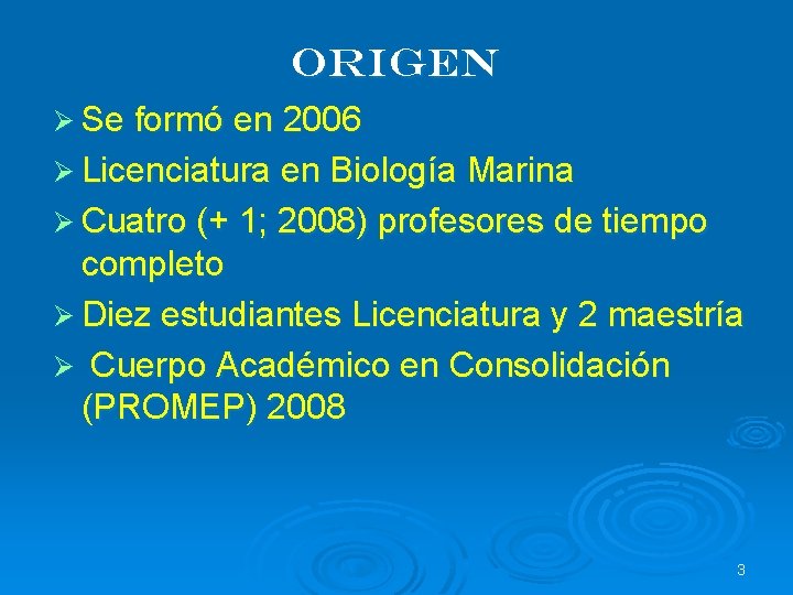 Origen Ø Se formó en 2006 Ø Licenciatura en Biología Marina Ø Cuatro (+