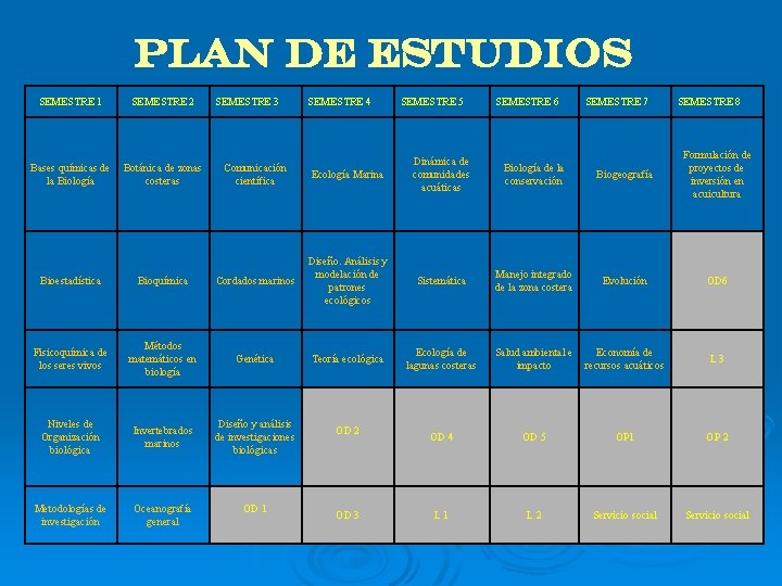 PLAN DE ESTUDIOS SEMESTRE 1 SEMESTRE 2 Bases químicas de la Biología Botánica de