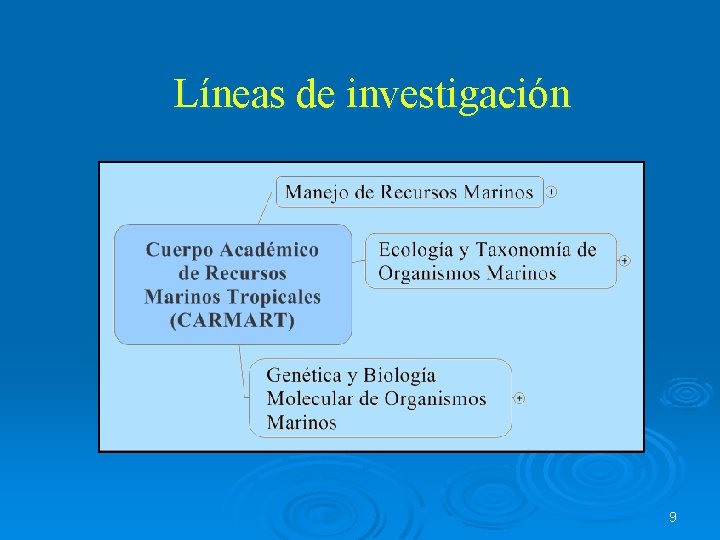 Líneas de investigación 9 