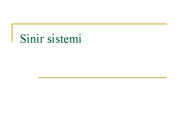 Sinir sistemi 