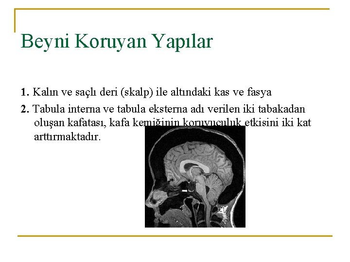 Beyni Koruyan Yapılar 1. Kalın ve saçlı deri (skalp) ile altındaki kas ve fasya