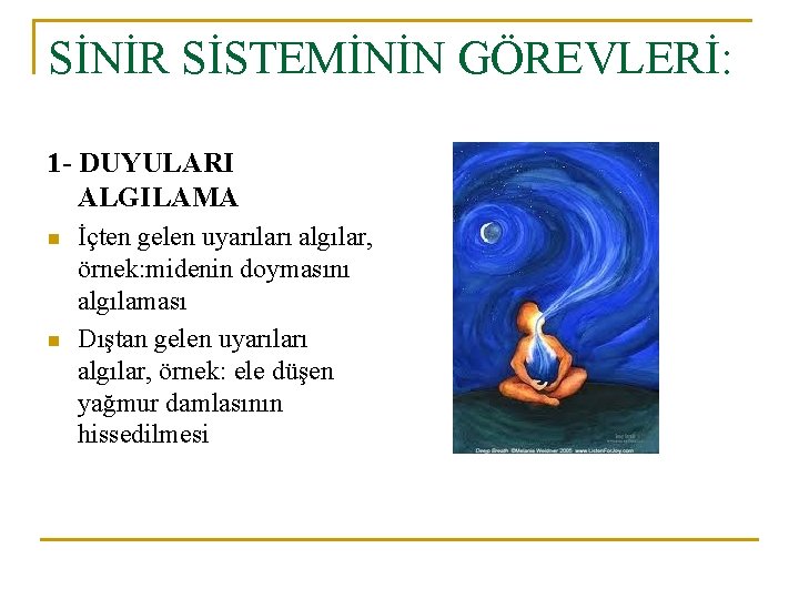 SİNİR SİSTEMİNİN GÖREVLERİ: 1 - DUYULARI ALGILAMA n n İçten gelen uyarıları algılar, örnek: