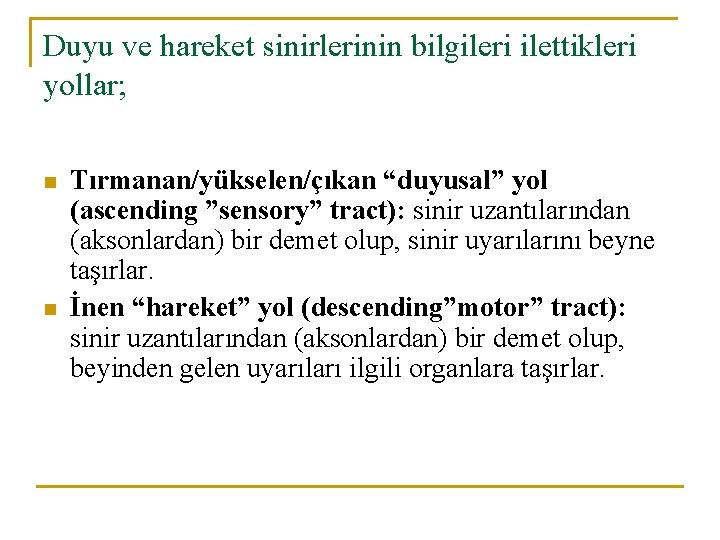 Duyu ve hareket sinirlerinin bilgileri ilettikleri yollar; n n Tırmanan/yükselen/çıkan “duyusal” yol (ascending ”sensory”