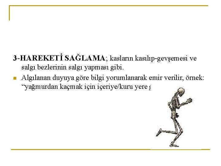 3 -HAREKETİ SAĞLAMA; kasların kasılıp-gevşemesi ve n salgı bezlerinin salgı yapması gibi. Algılanan duyuya