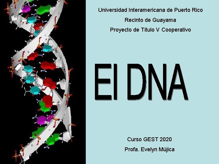 Universidad Interamericana de Puerto Rico Recinto de Guayama Proyecto de Título V Cooperativo Curso Universidad Interamericana de Puerto Rico Recinto de Guayama Proyecto de Título V Cooperativo Curso