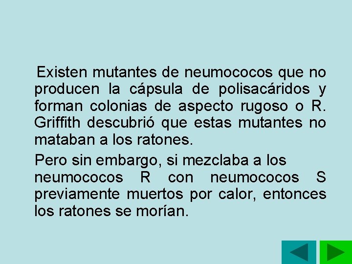 Existen mutantes de neumococos que no producen la cápsula de polisacáridos y forman Existen mutantes de neumococos que no producen la cápsula de polisacáridos y forman