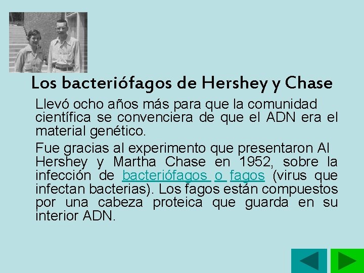 Los bacteriófagos de Hershey y Chase Llevó ocho años más para que la comunidad Los bacteriófagos de Hershey y Chase Llevó ocho años más para que la comunidad