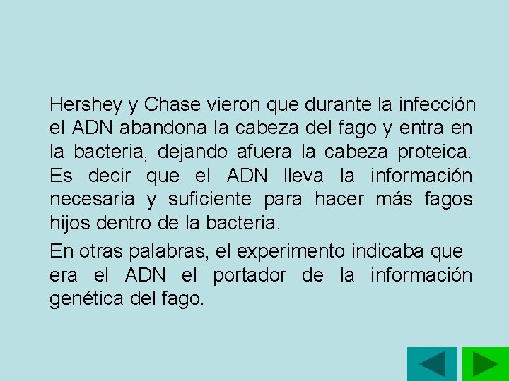 Hershey y Chase vieron que durante la infección el ADN abandona la cabeza del Hershey y Chase vieron que durante la infección el ADN abandona la cabeza del