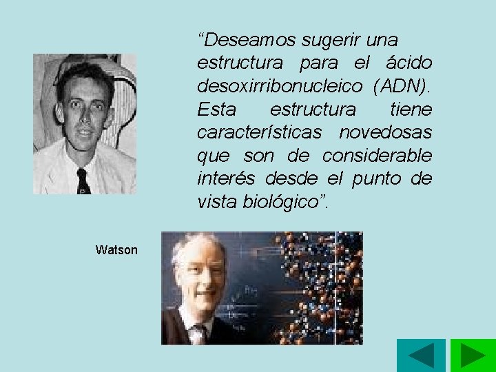 “Deseamos sugerir una estructura para el ácido desoxirribonucleico (ADN). Esta estructura tiene características novedosas “Deseamos sugerir una estructura para el ácido desoxirribonucleico (ADN). Esta estructura tiene características novedosas