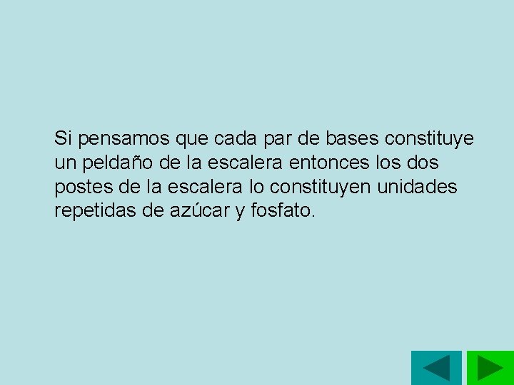 Si pensamos que cada par de bases constituye un peldaño de la escalera entonces Si pensamos que cada par de bases constituye un peldaño de la escalera entonces