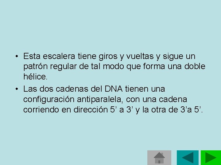 • Esta escalera tiene giros y vueltas y sigue un patrón regular de • Esta escalera tiene giros y vueltas y sigue un patrón regular de