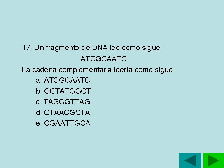 17. Un fragmento de DNA lee como sigue: ATCGCAATC La cadena complementaria leería como 17. Un fragmento de DNA lee como sigue: ATCGCAATC La cadena complementaria leería como