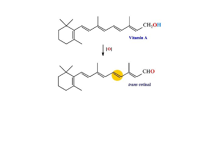 trans-retinal 