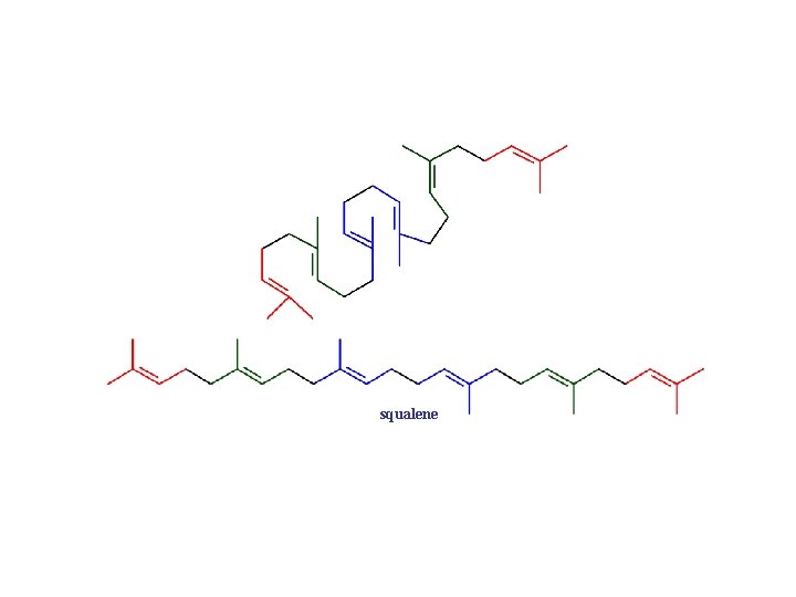 squalene 