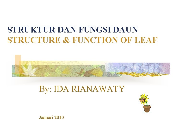 STRUKTUR DAN FUNGSI DAUN STRUCTURE & FUNCTION OF LEAF By: IDA RIANAWATY Januari 2010