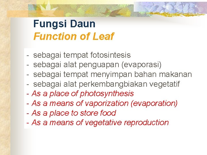 Fungsi Daun Function of Leaf - sebagai tempat fotosintesis - sebagai alat penguapan (evaporasi)