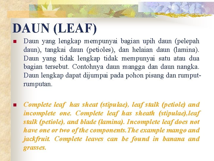 DAUN (LEAF) n Daun yang lengkap mempunyai bagian upih daun (pelepah daun), tangkai daun